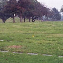 image10