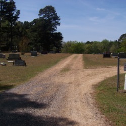 image12