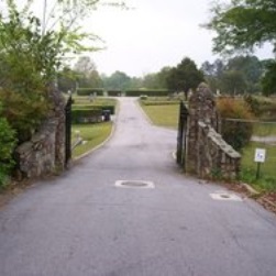 image12