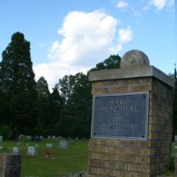 image12