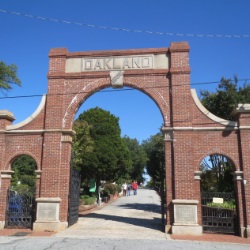 image12